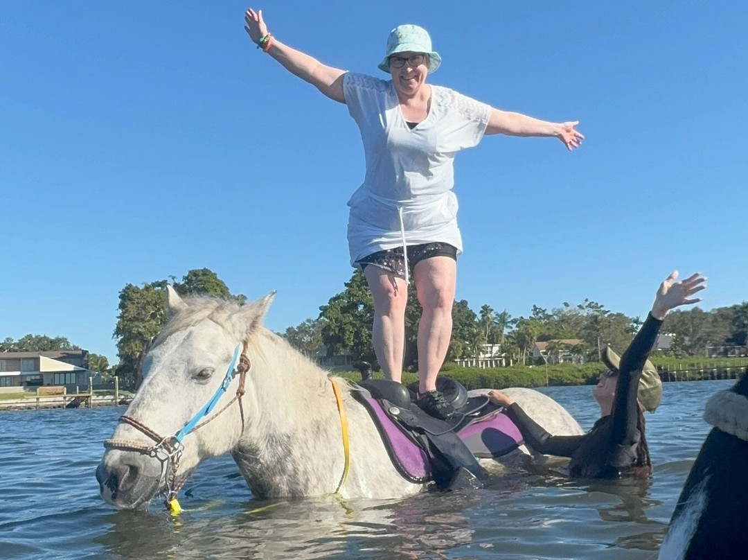 Florida Beach Horses-布雷登顿必去景点