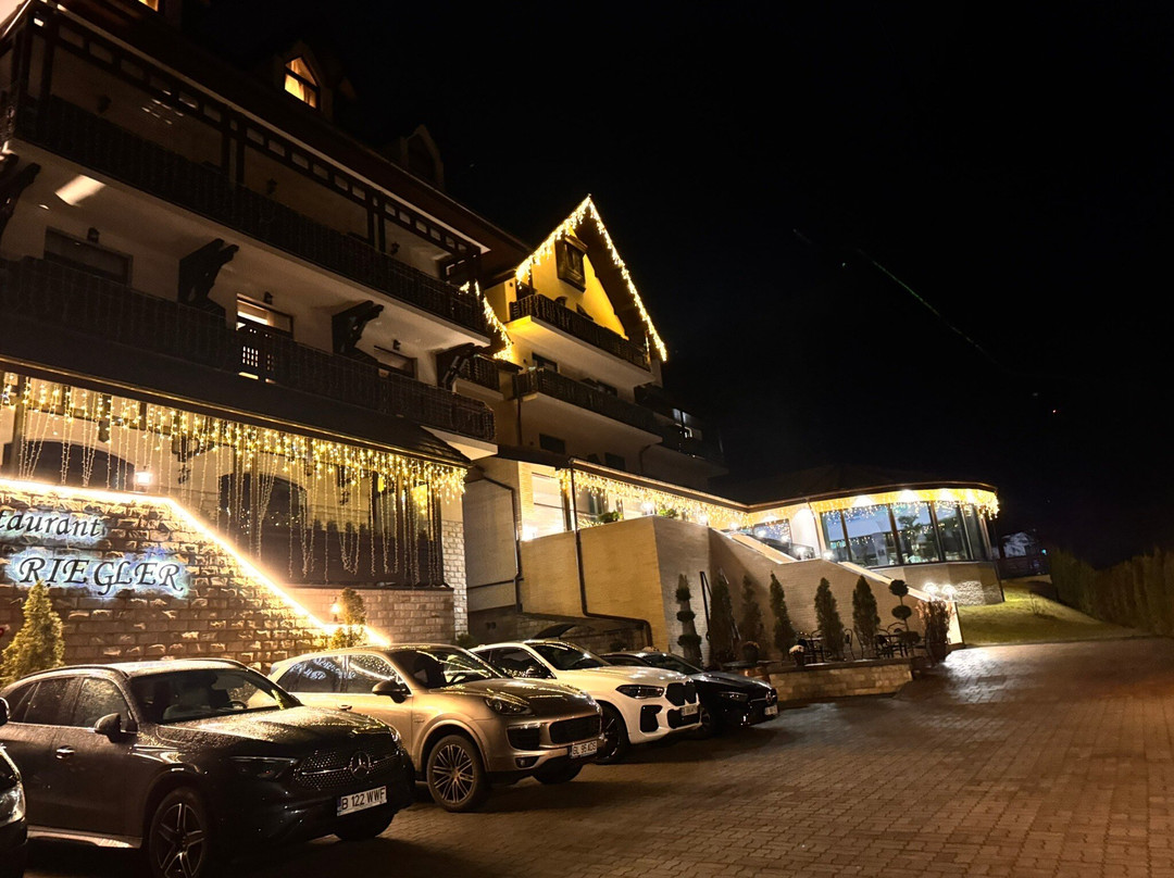 Hotel Foisorul cu Flori主图