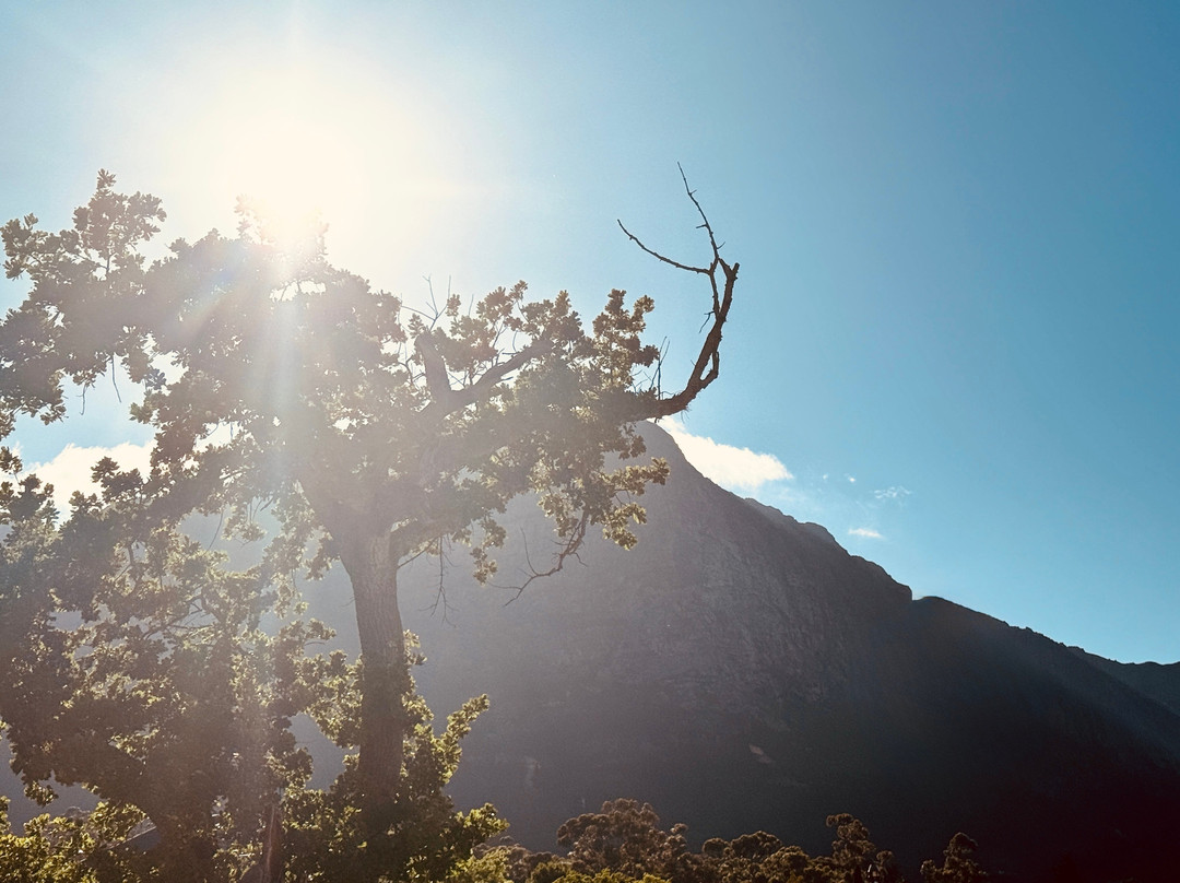 Chapter House Boutique Hotel主图