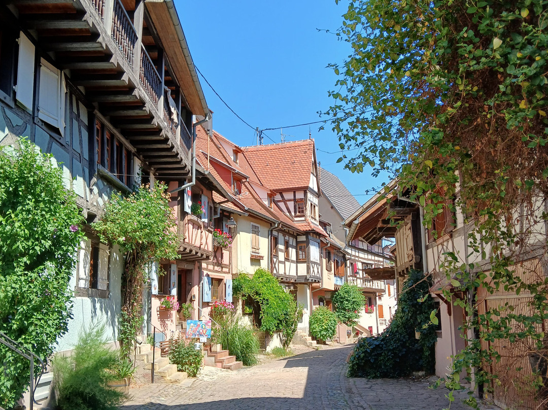 Vieille ville d'Eguisheim-艾古斯汉必去景点