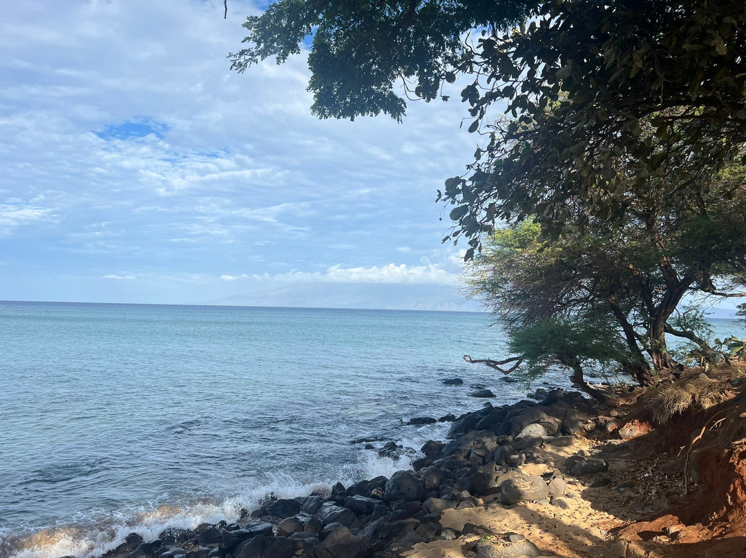 Hanakao'o Beach Park-拉海纳必去景点