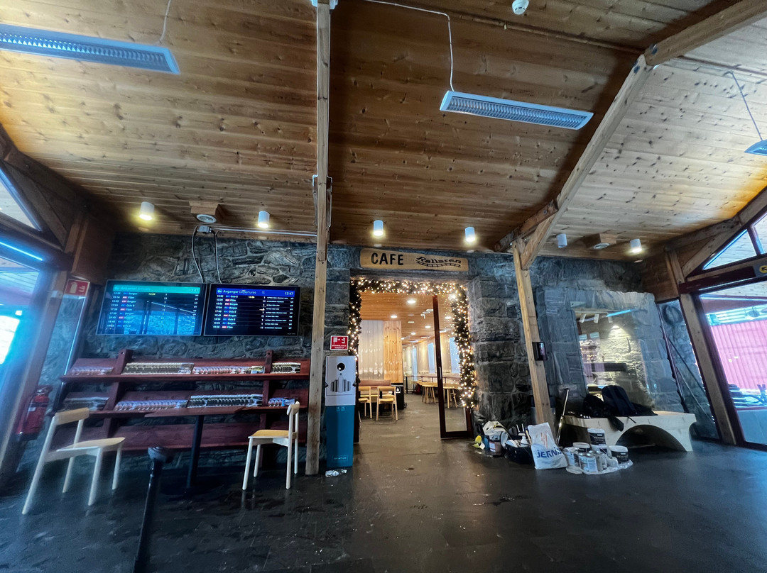 Myrdal Station-米达尔必去景点