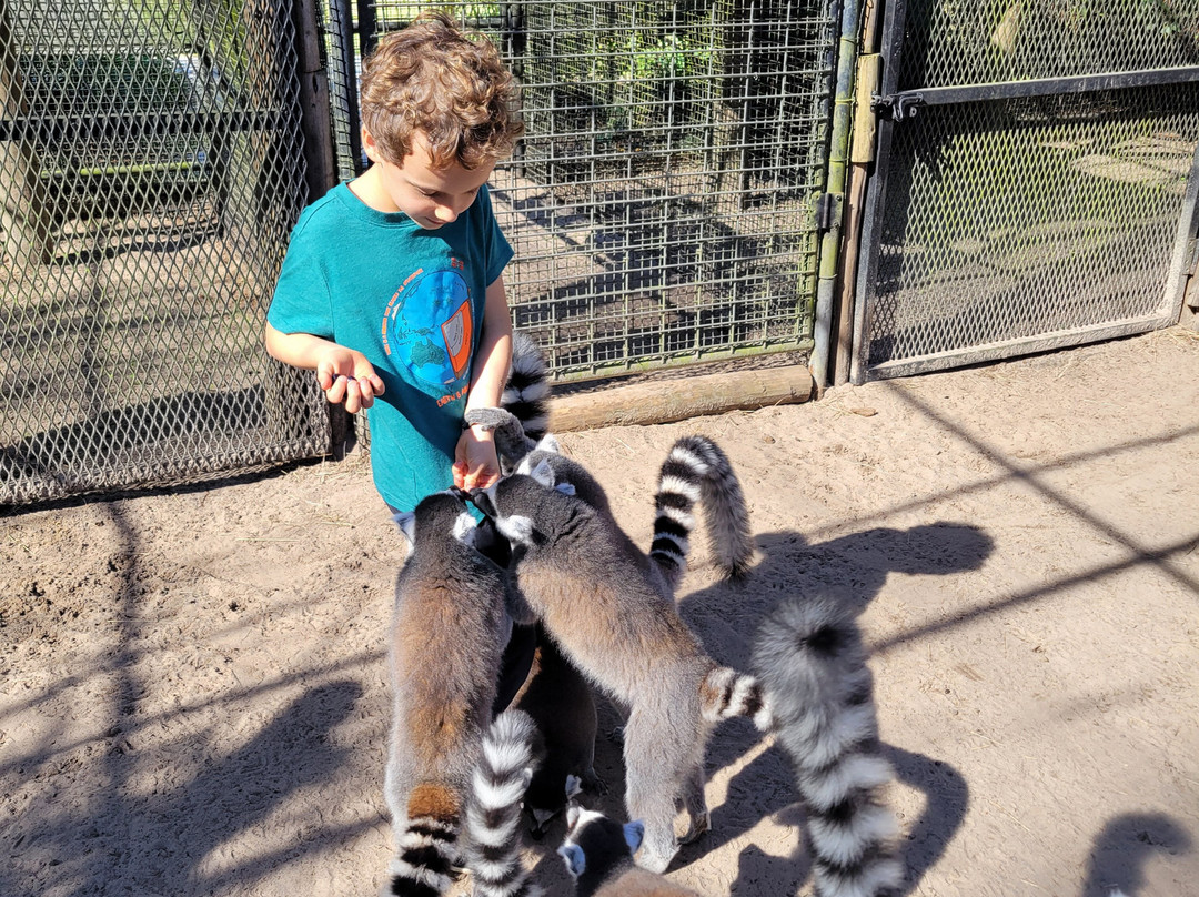 Giraffe Ranch-Dade City必去景点