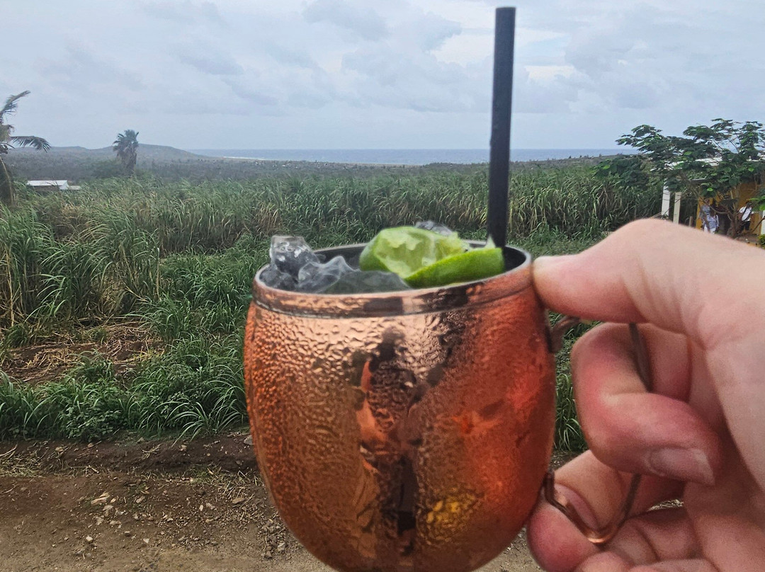 Alto Vista Winery-Noord必去景点