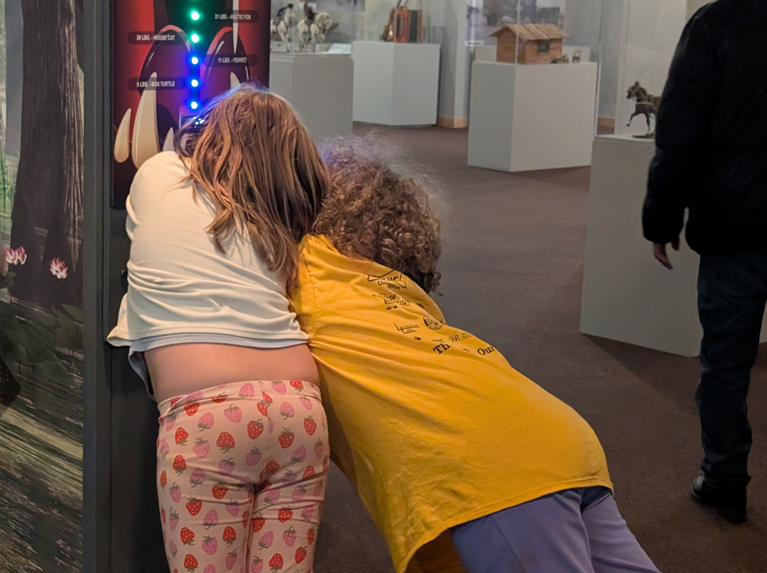 Wyoming State Museum-夏延必去景点