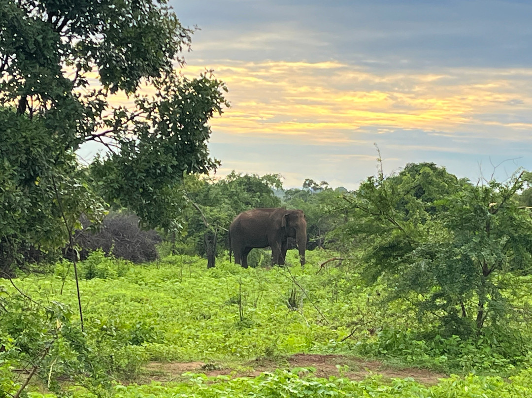 BH Lanka Tours-Kurunegala必去景点
