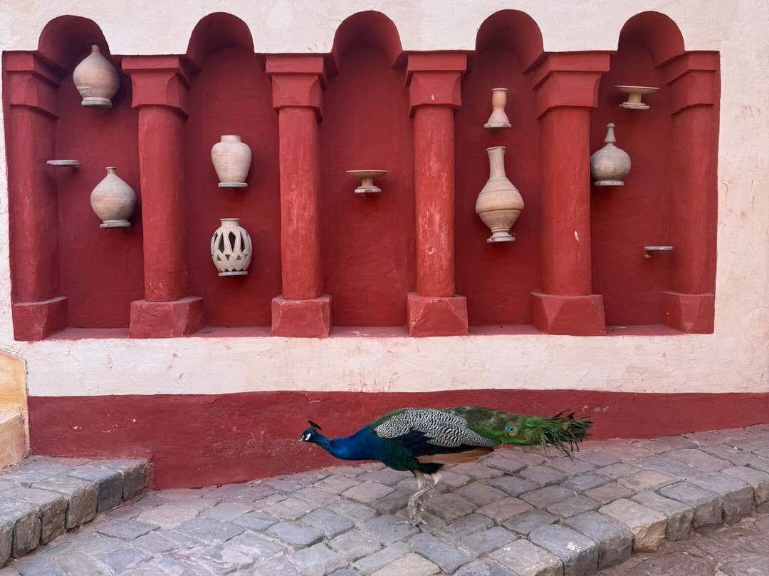 La Médina d'Agadir-阿加迪尔必去景点