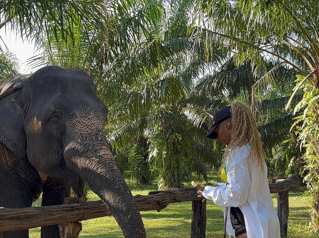 Krabi Elephant Sanctuary-甲米必去景点