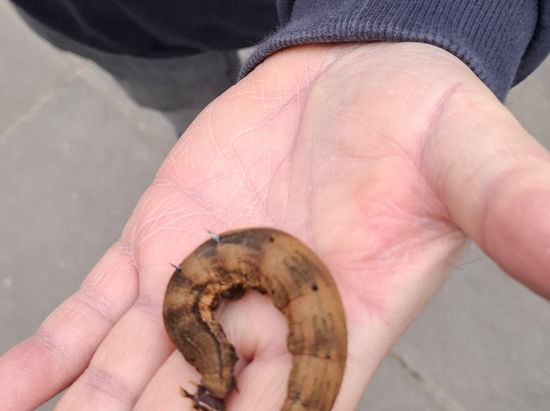 Pantropica-Luttelgeest必去景点