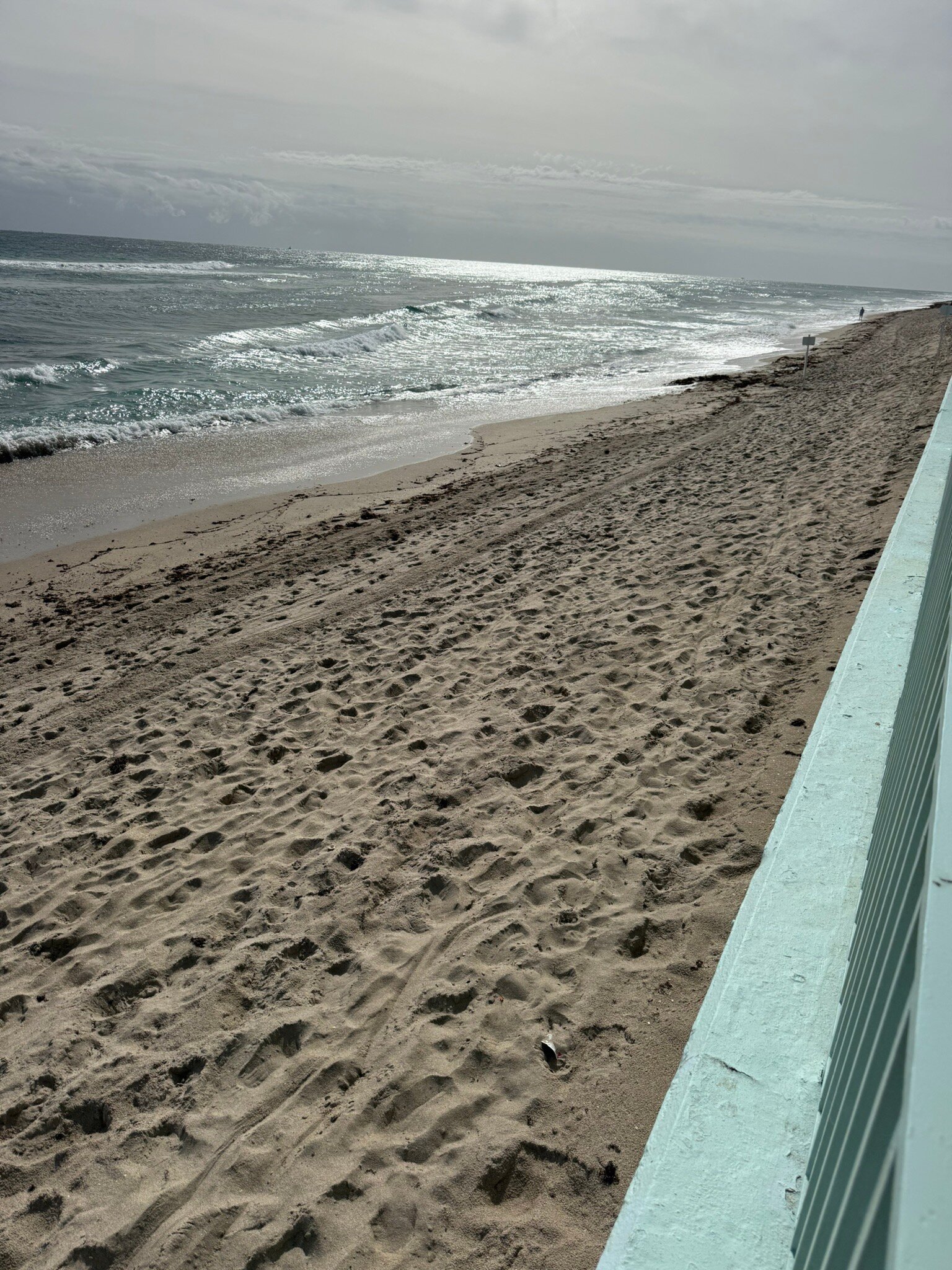 棕榈滩丽思卡尔顿酒店-官方