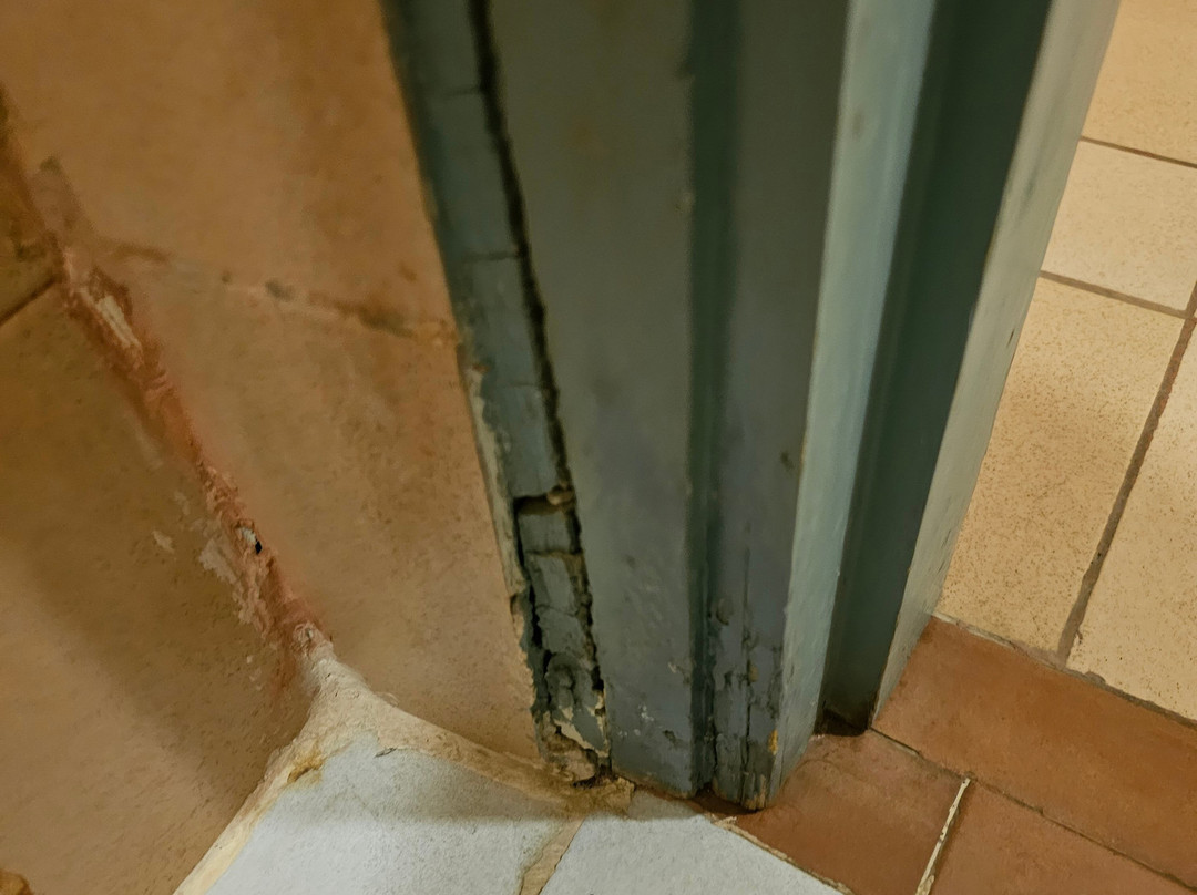 Chems Le Tazarkount主图