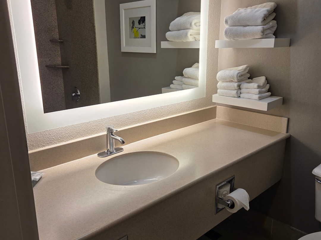 普莱森顿都柏林拉金塔旅馆及套房酒店主图