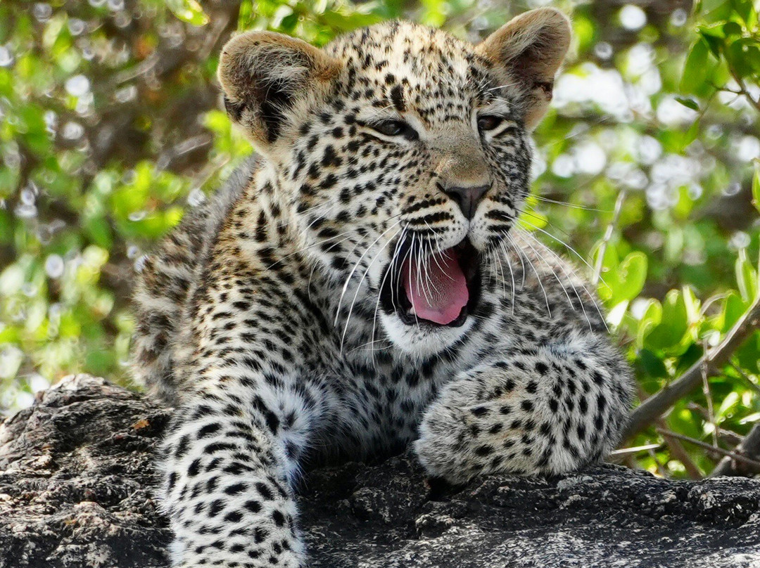 易捷旅游-一日游-阿鲁沙必去景点
