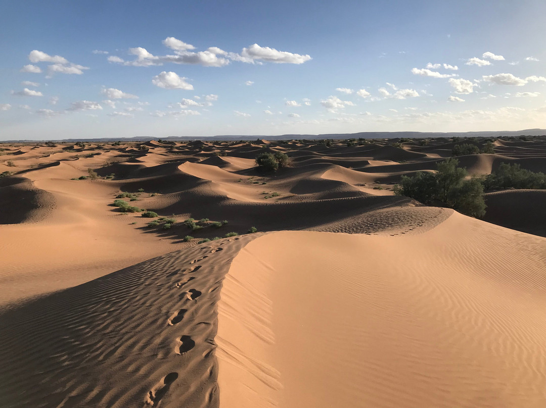 Mélodie du désert-迈哈米德必去景点