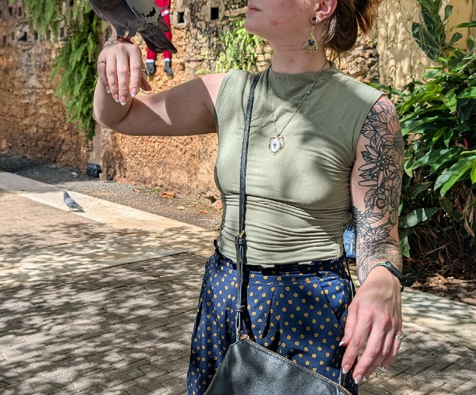 帕克达拉斯帕洛马斯-圣胡安必去景点