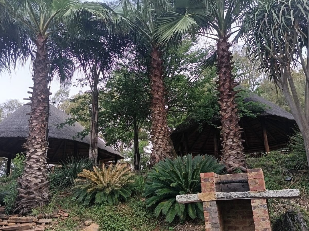 Cedar Junction Family Resort-比勒陀利亚必去景点