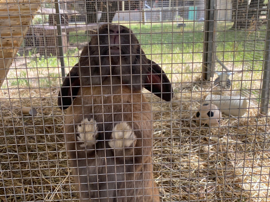 Scoops Farm-玛格丽特河必去景点