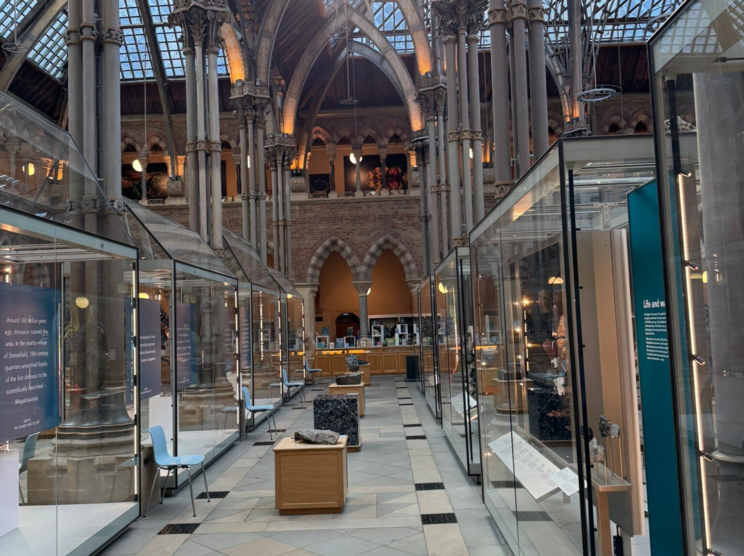 牛津大学自然历史博物馆-牛津必去景点