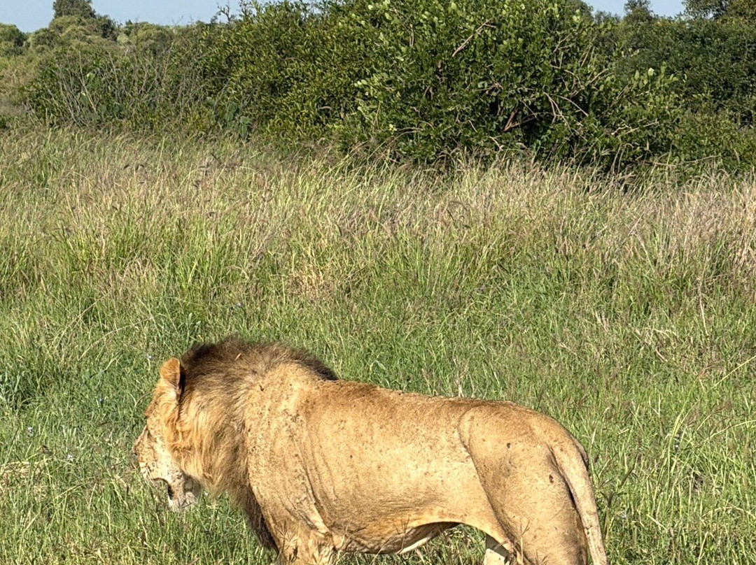 Discovery Kenya con Fragola-瓦塔木必去景点