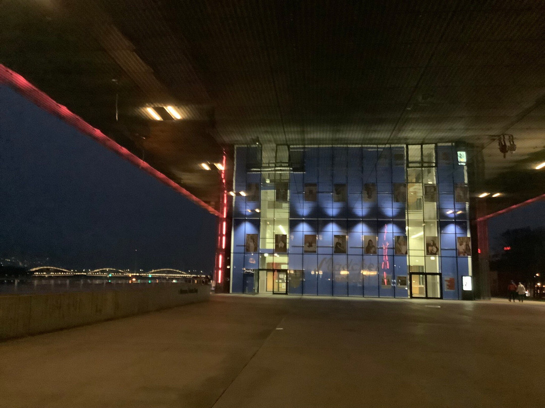 Lentos Kunstmuseum (Museum of Modern Art Linz)-林兹必去景点