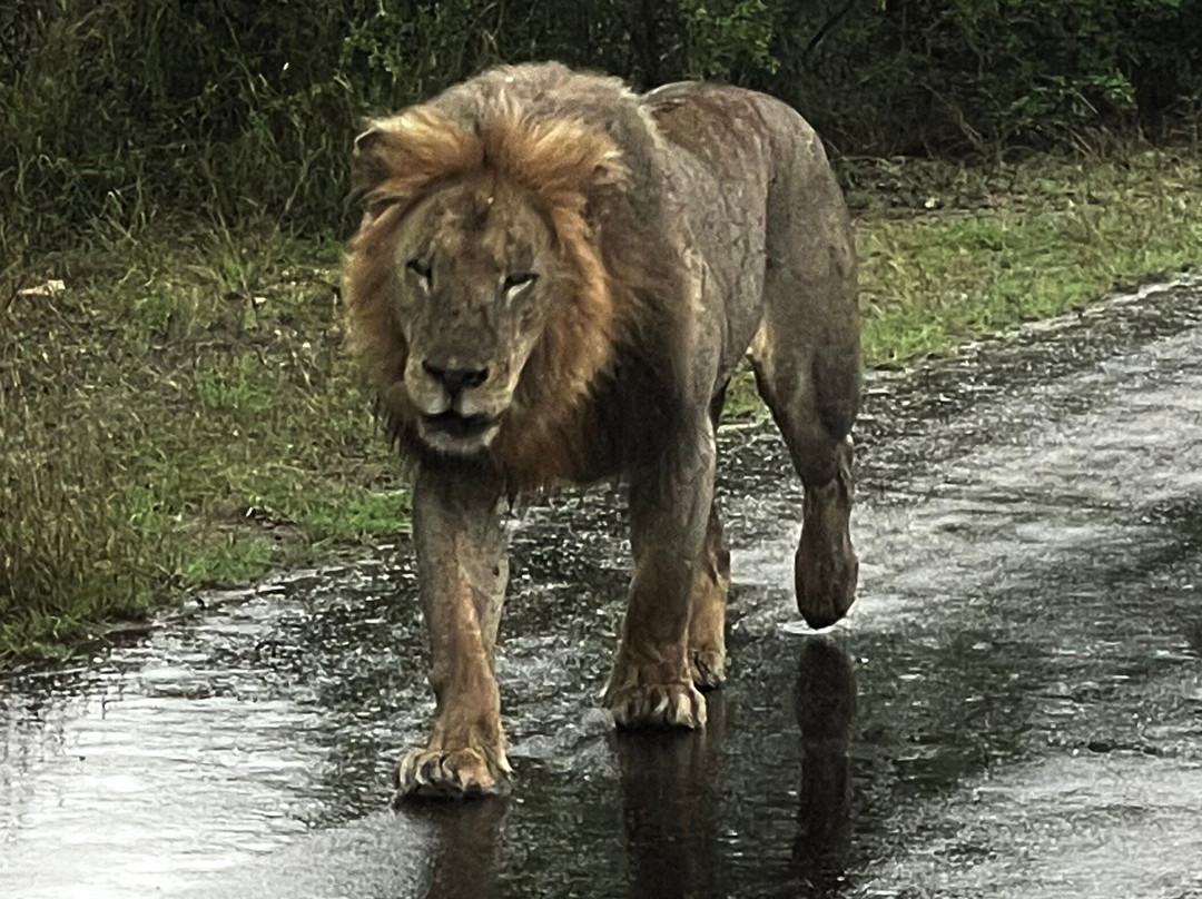Touched By Nature-雾观必去景点
