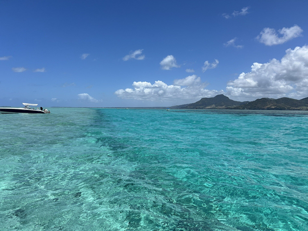 Dream Dolphin-黑河必去景点