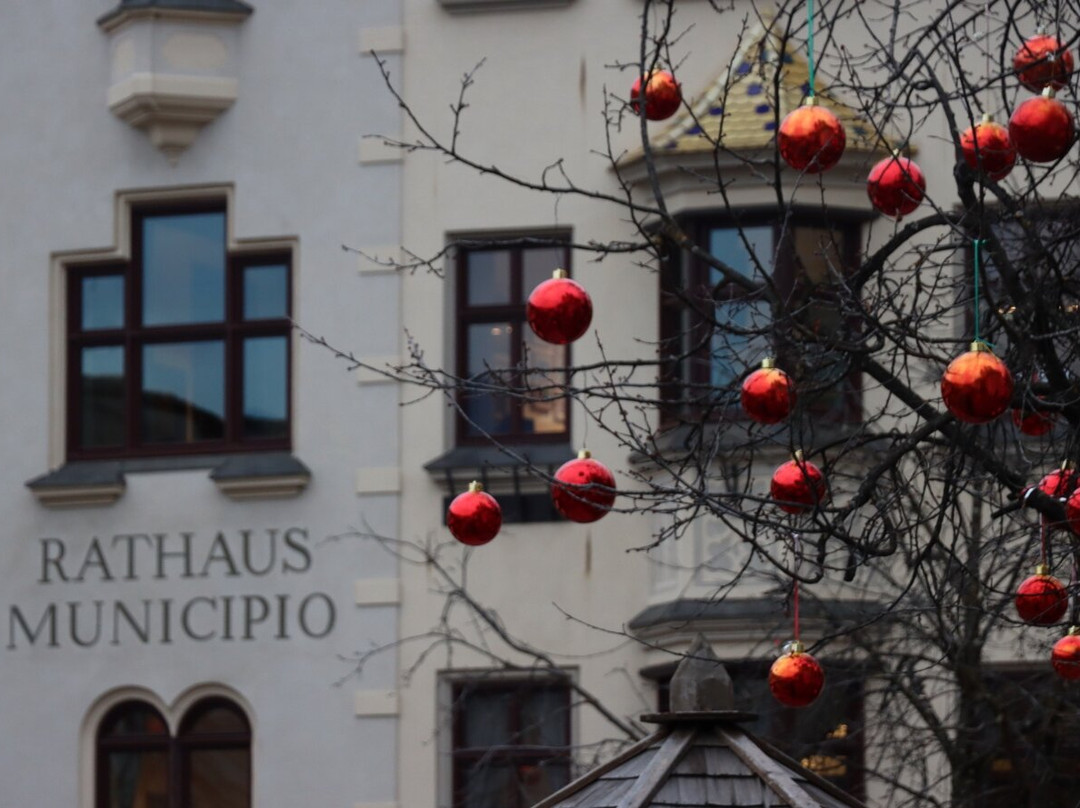 Palazzo Municipale-布雷萨诺内必去景点