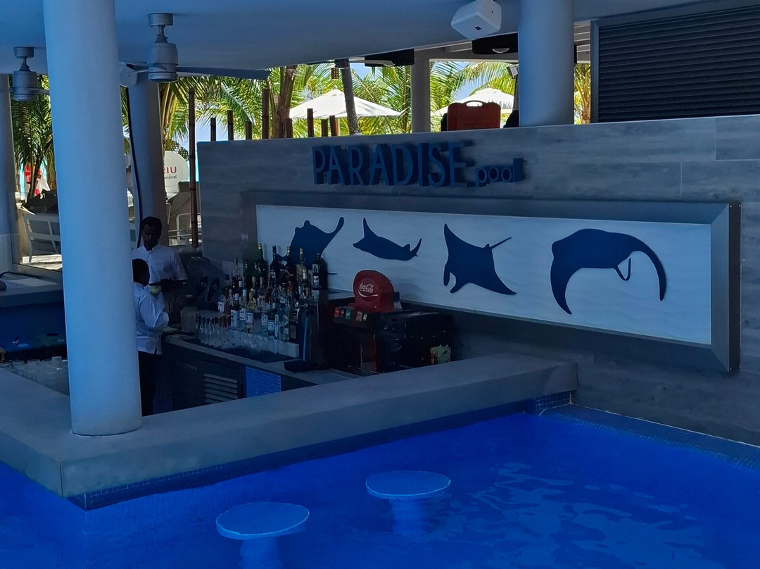 Paradise Pool Bar