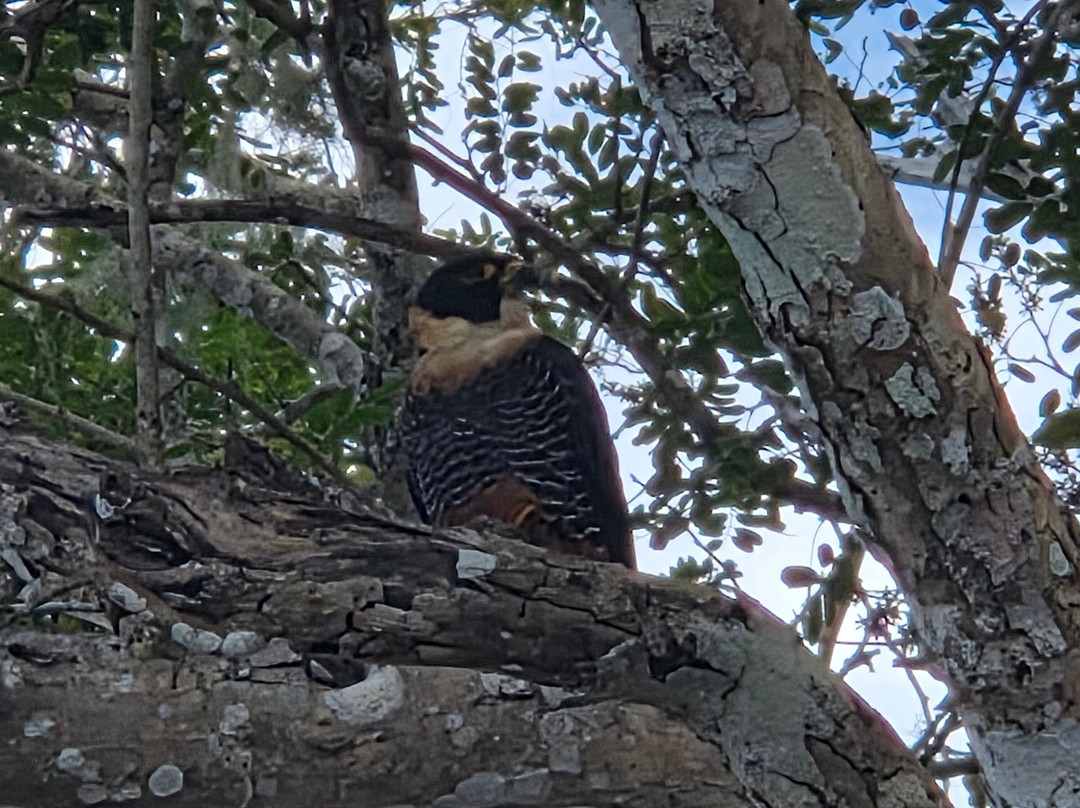 DANTA TOURS-Xpujil Town必去景点