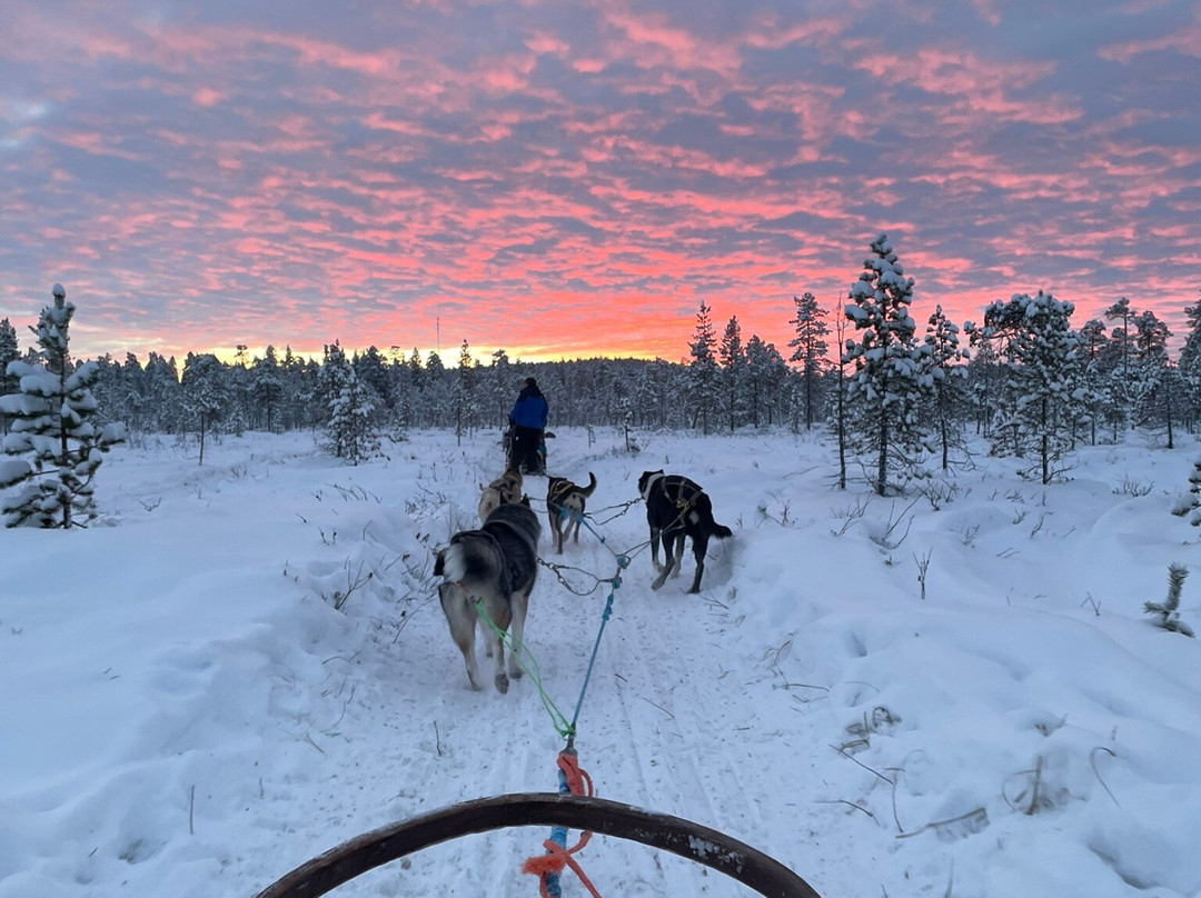 伊纳里远足之旅-伊纳里必去景点