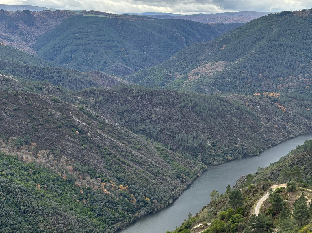 Enoturismo Galicia-Monforte de Lemos必去景点