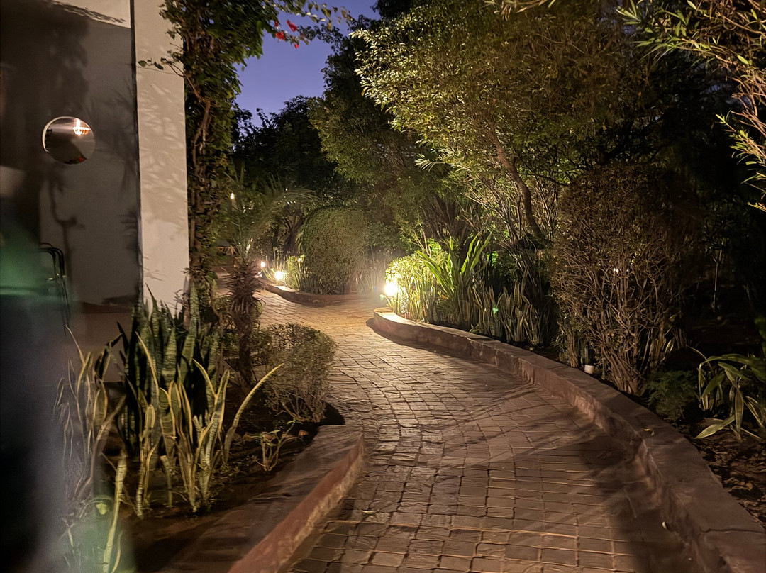 The Pugmark Resort主图