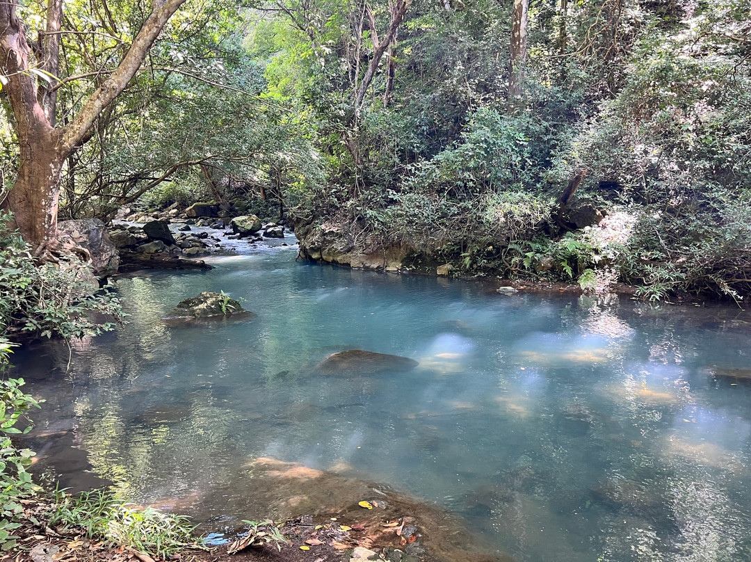 La Leona Waterfall Costa Rica