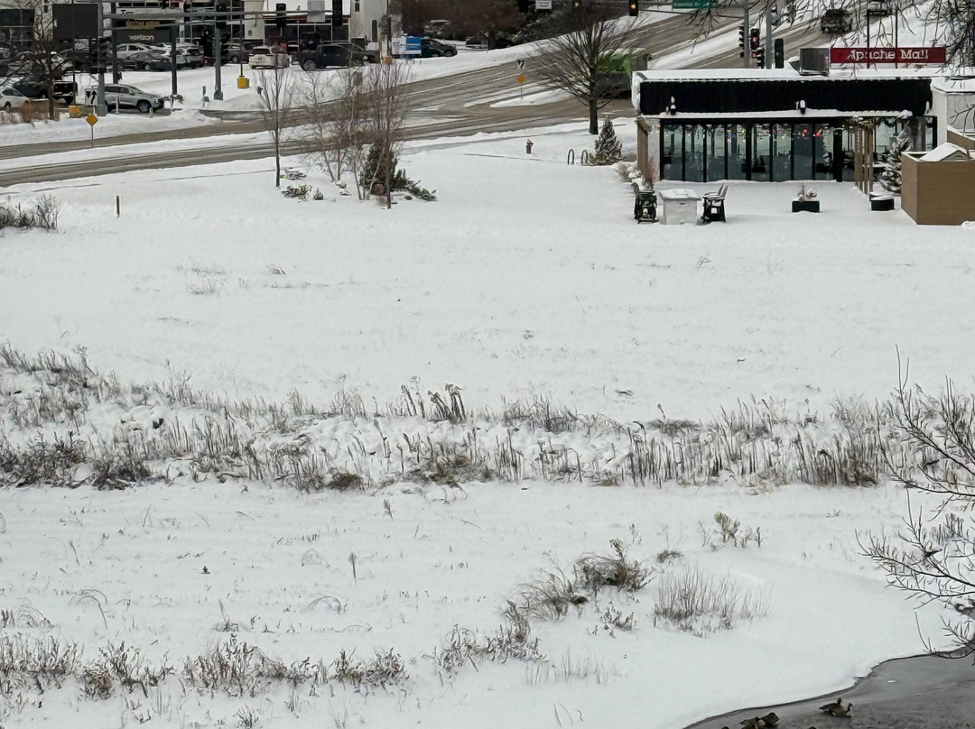 Home2 Suites by Hilton Rochester Mayo Clinic Area主图