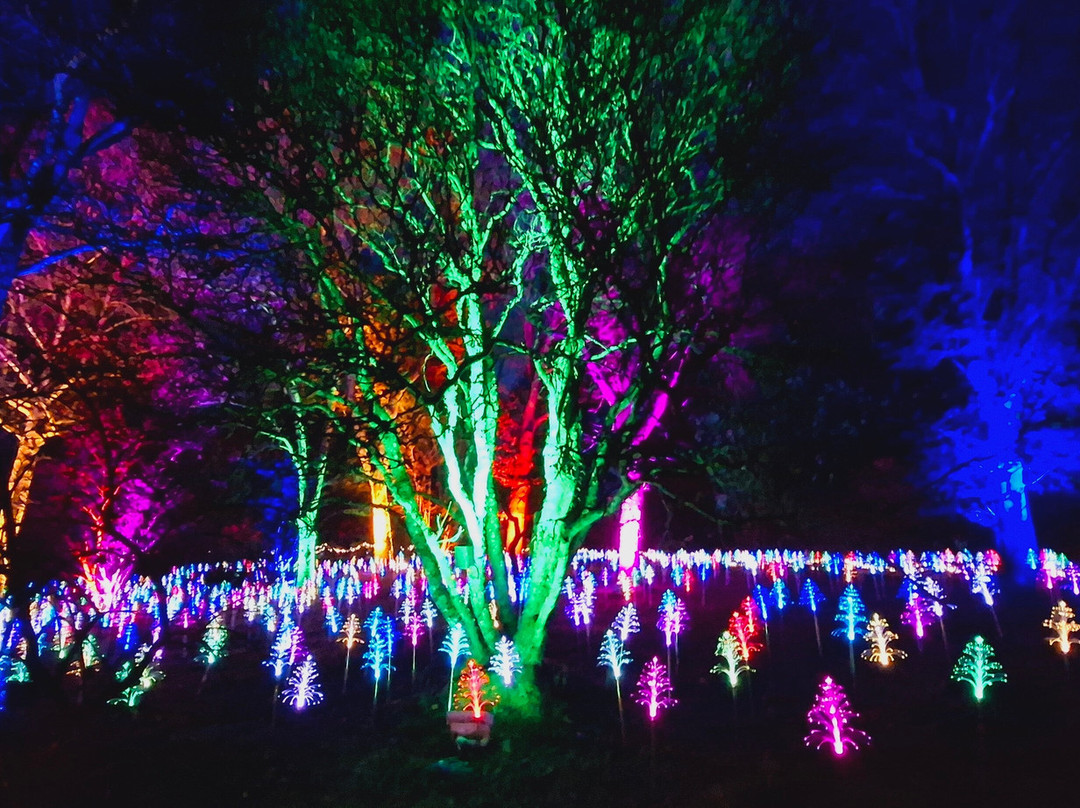 Light Up Trails-罗姆西必去景点