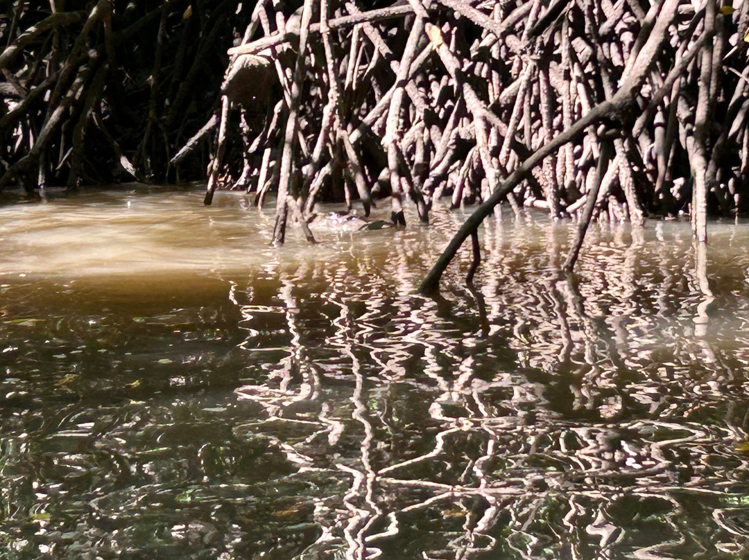 Life Time Travel-萨迪纳尔必去景点