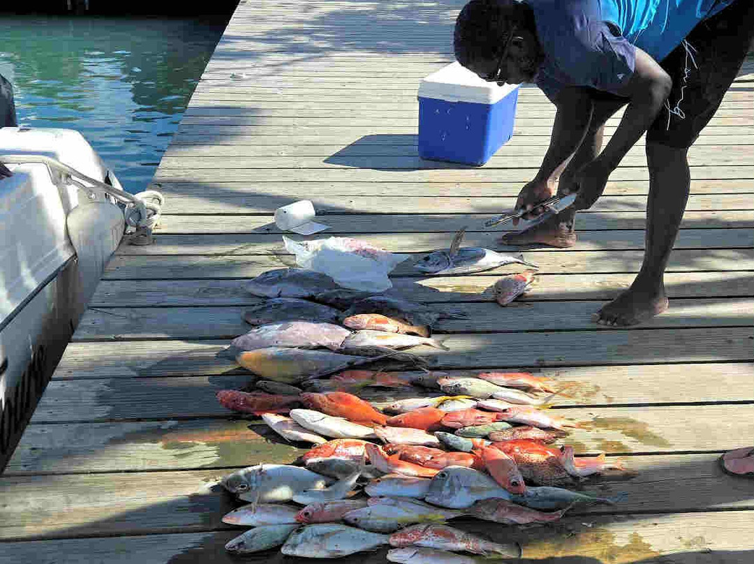 Sugar Island Tours-Jolly Harbour必去景点