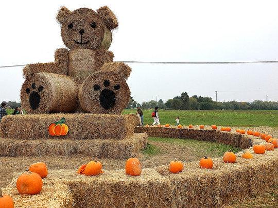 Il Villaggio della Zucca-Favria必去景点