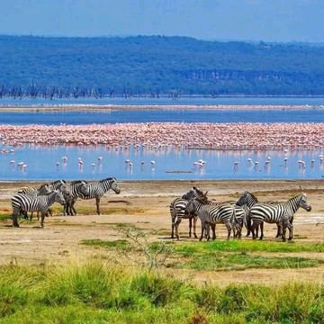 TRIP TRAILS ADVANCE-内罗毕必去景点