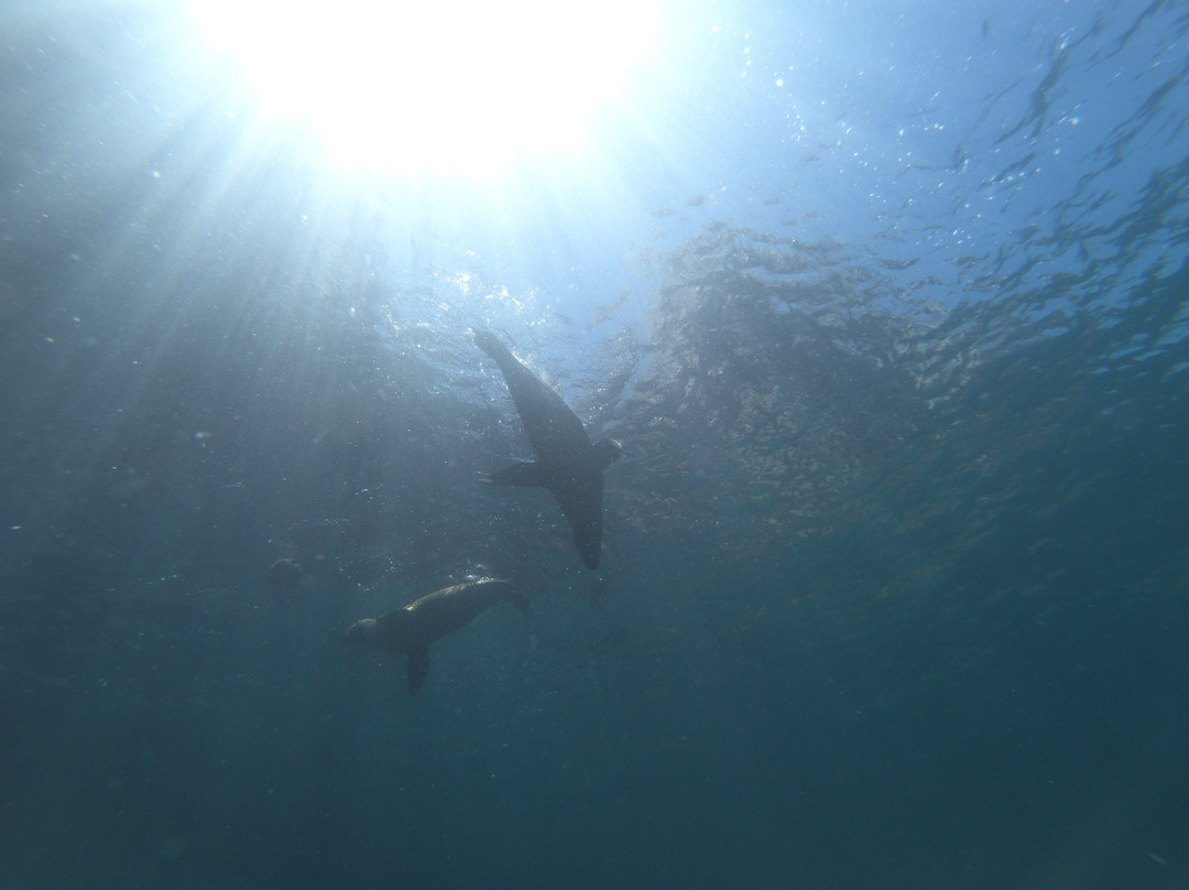 The Cortez Club-拉巴斯必去景点