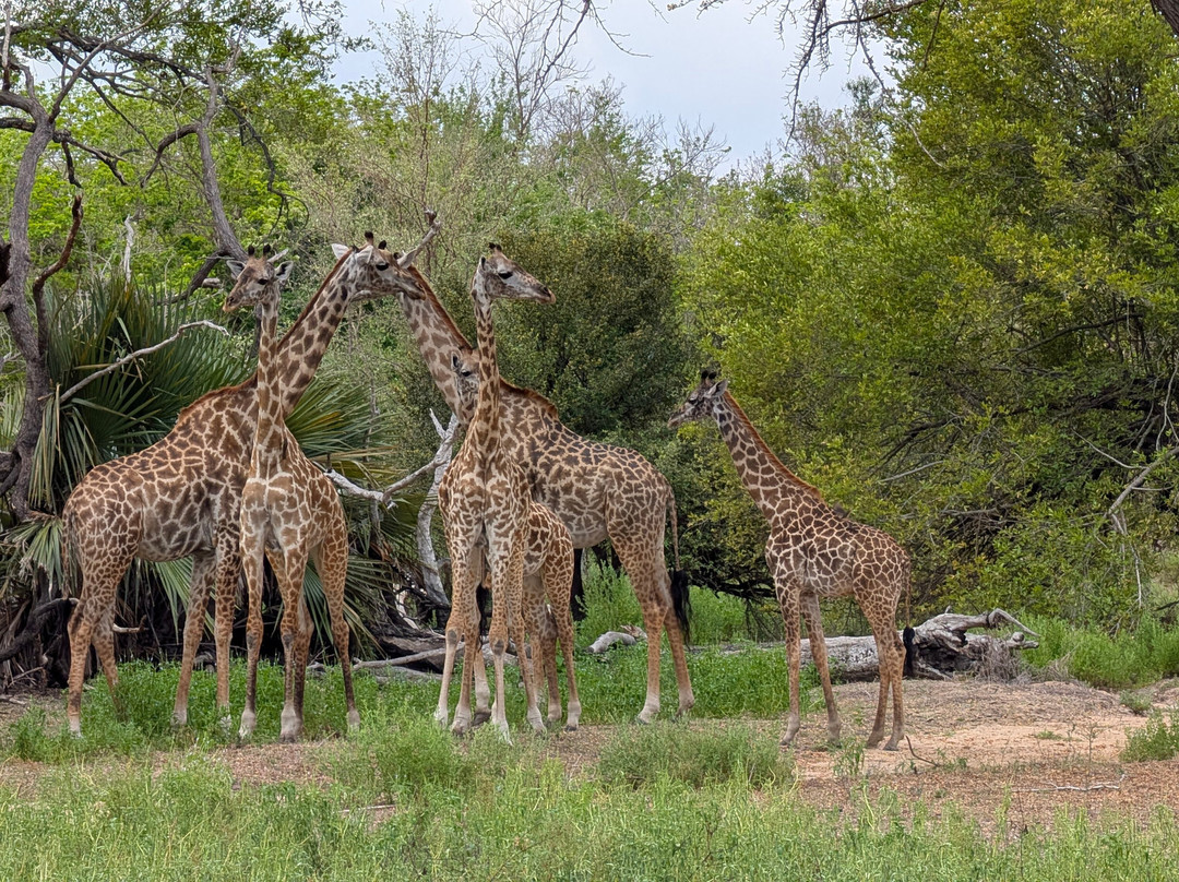 Travel with Deo-Mloka必去景点