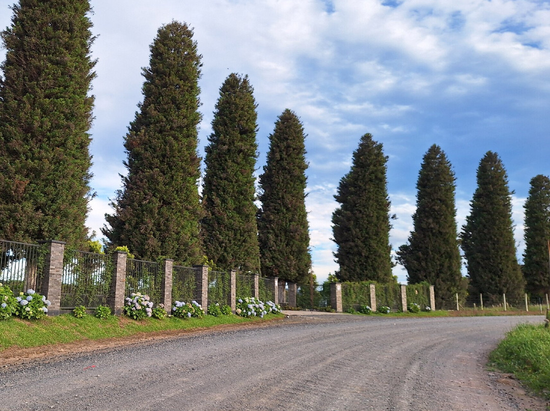 Salto do Engenho-Campo Alegre必去景点