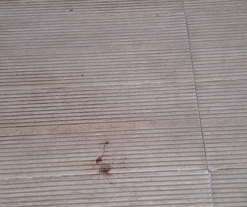 Sueds Segundo Sol主图