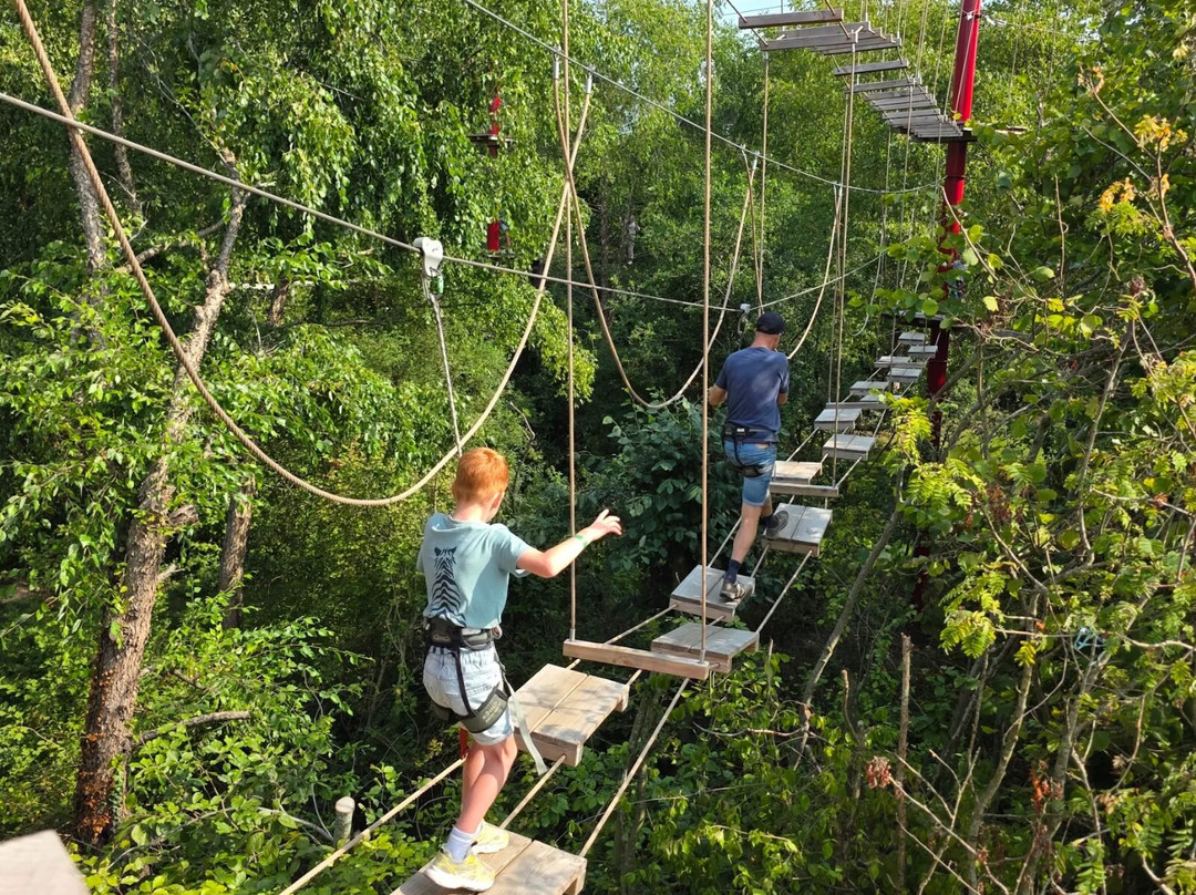 Maple Farm Adventures-Bosschenhoofd必去景点