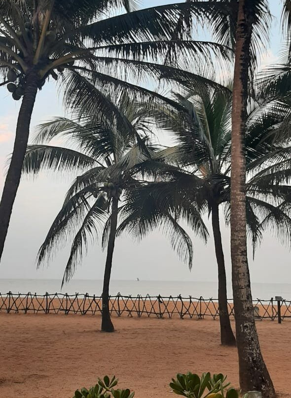 Green Shadows Beach Hotel主图