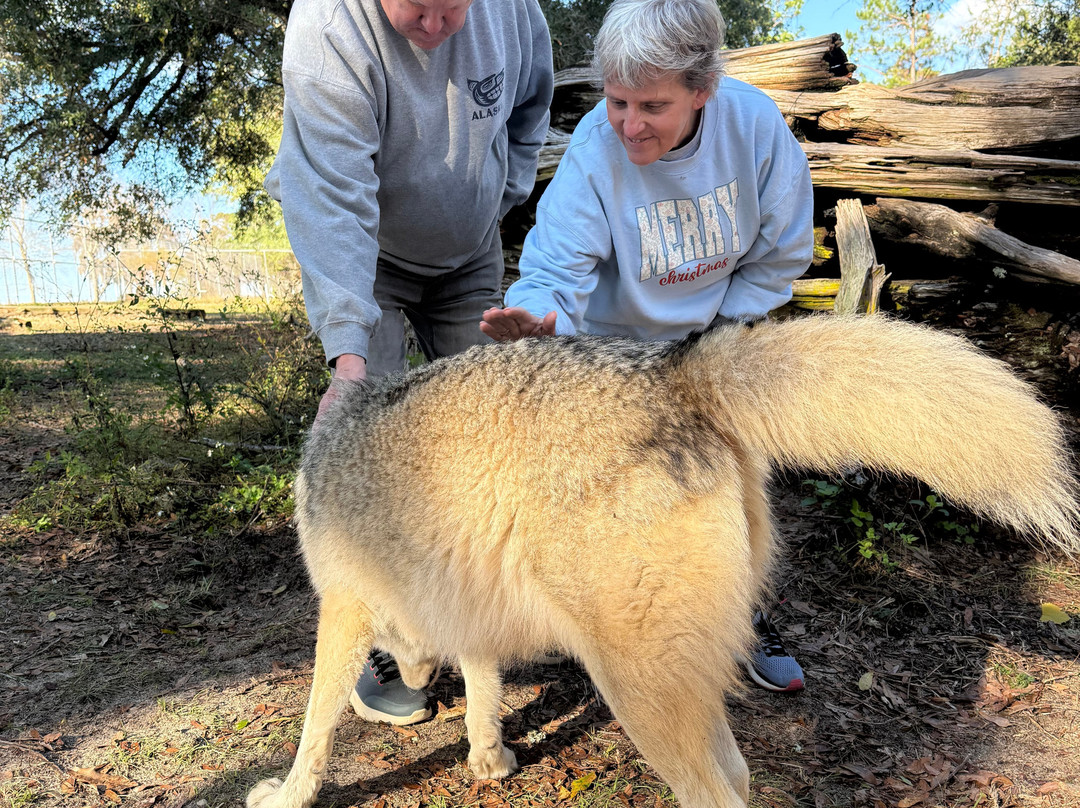 Seacrest Wolf Preserve-Chipley必去景点
