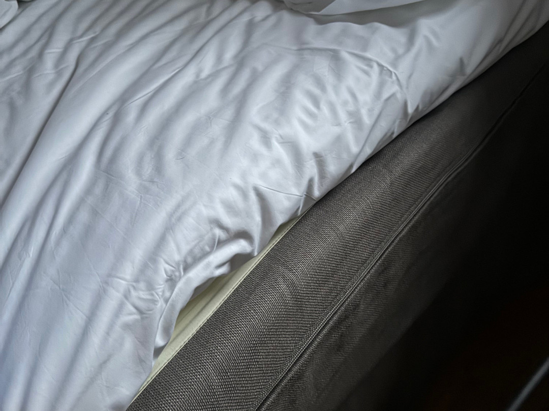 Cottage Rheingau Hotel主图