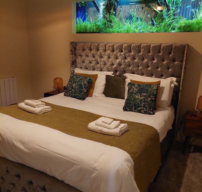 The Resolution Hotel主图