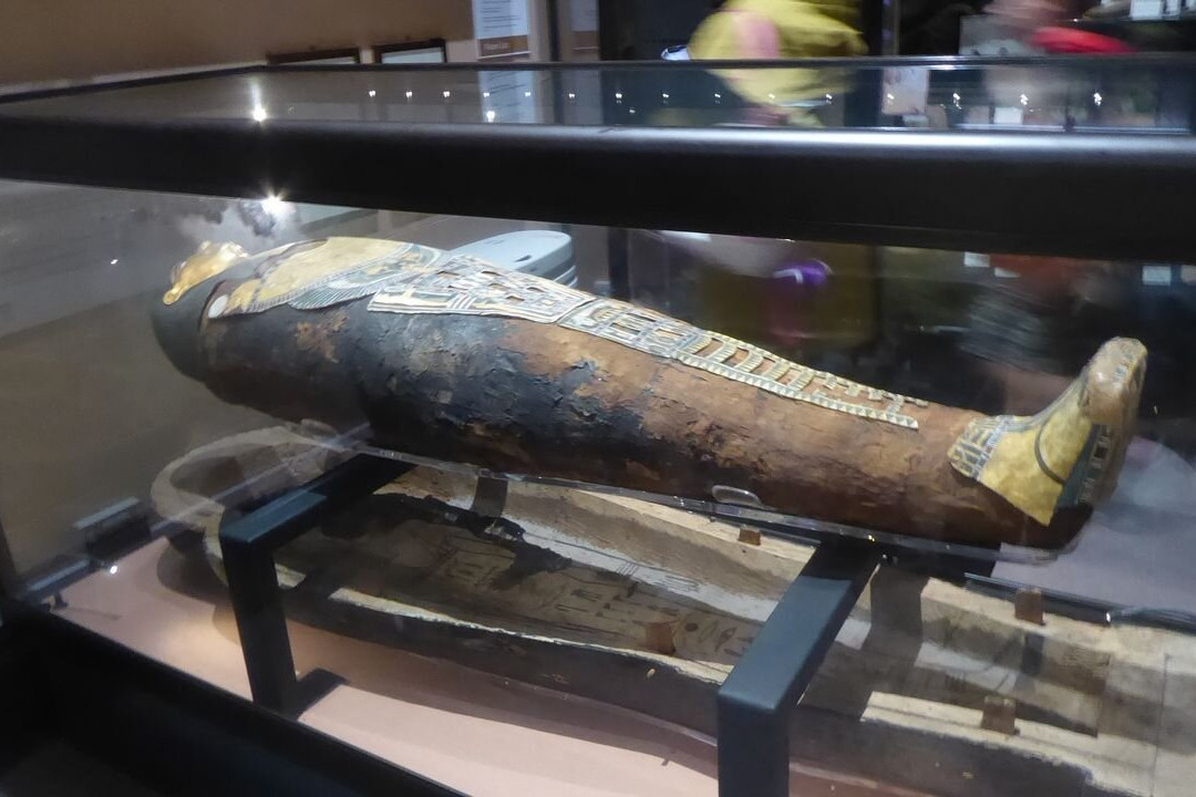 Swansea Museum-斯温西必去景点