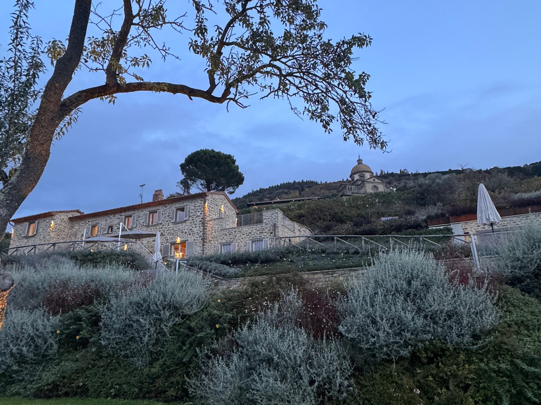 Hill Town Tours-科尔托纳必去景点